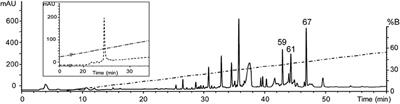 A Novel Insecticidal Spider Peptide that Affects the Mammalian Voltage-Gated Ion Channel hKv1.5